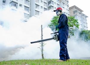 Pest Control Services Services in Gurgaon Haryana India