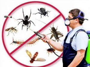 Service Provider of Pest Control Gurgaon Haryana 
