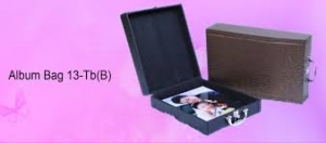 Service Provider of Photo Album Bag Udaipur Rajasthan 