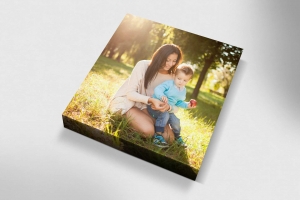 Service Provider of Photo Print On Canvas Jodhpur Rajasthan 