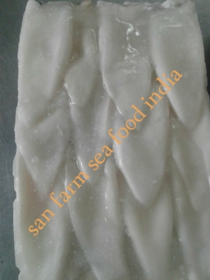 squid Manufacturer Supplier Wholesale Exporter Importer Buyer Trader Retailer in jamnagar  India