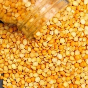 Pigeon Pea Split (Toor Dal) Manufacturer Supplier Wholesale Exporter Importer Buyer Trader Retailer in Gondia Maharashtra India