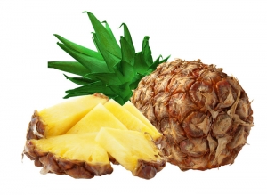 Pineapple Manufacturer Supplier Wholesale Exporter Importer Buyer Trader Retailer in New Delhi Delhi India