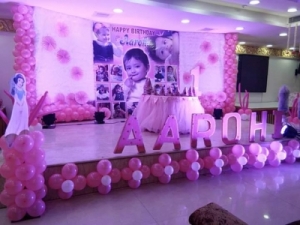 Service Provider of PINKALICIOUS THEME PARTY  Delhi 