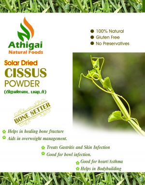 Manufacturers Exporters and Wholesale Suppliers of Cissus Quadrangularis Powder (Pirandai) Panruti Tamil Nadu