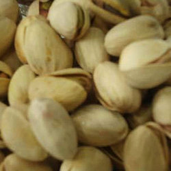 Manufacturers Exporters and Wholesale Suppliers of Pistachio Nuts Roasted Nagpur Maharashtra