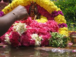 Pitra Narayani Pooja