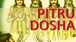 Service Provider of Pitru Dosha Ahmedabad Gujarat