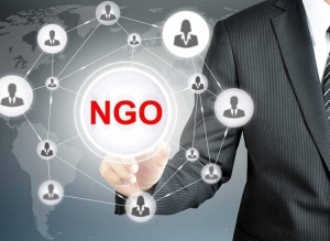 Planning Consultants For Ngo Advisory