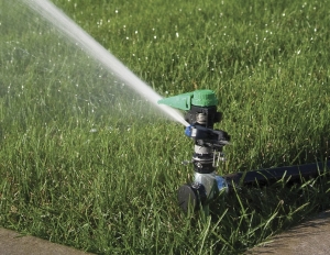 Manufacturers Exporters and Wholesale Suppliers of Plastic Sprinkler Bangalore Karnataka