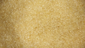 Ponni Rice Manufacturer Supplier Wholesale Exporter Importer Buyer Trader Retailer in Ghaziabad Uttar Pradesh India