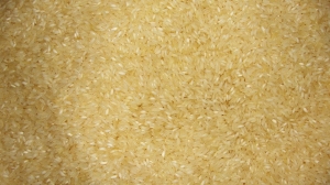 Manufacturers Exporters and Wholesale Suppliers of Ponni Rice KOCHI Kerala