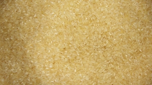 Ponni Rice Manufacturer Supplier Wholesale Exporter Importer Buyer Trader Retailer in KOCHI Kerala India