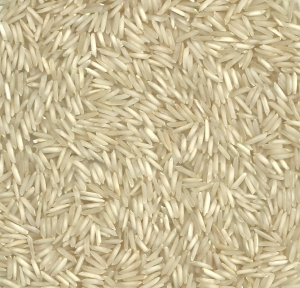 Manufacturers Exporters and Wholesale Suppliers of Ponni Rice New Delhi Delhi