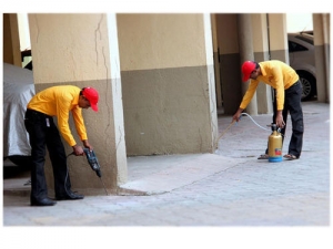 Service Provider of Post Construction Anti Termite Noida Uttar Pradesh