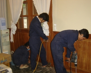Post Construction Pest Control Services in Telangana  India