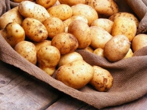 Manufacturers Exporters and Wholesale Suppliers of Potato Gondia Maharashtra