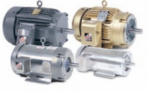 Premium Efficient Motors Manufacturer Supplier Wholesale Exporter Importer Buyer Trader Retailer in Vadodara Gujarat India