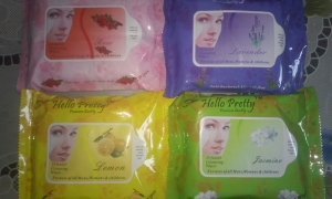 Pretty Wet Wipes For Face Cleaning Manufacturer Supplier Wholesale Exporter Importer Buyer Trader Retailer in Kanpur Uttar Pradesh India