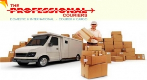 Professional Couriers Services