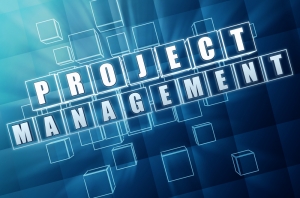 Project Management Services in Gurgaon Haryana India