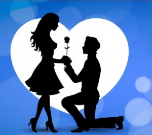 Proposal Or Relationship Matching Services in New Delhi Delhi India