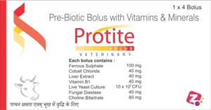 Manufacturers Exporters and Wholesale Suppliers of PROTITE BOLUS AMBALA CITY Haryana