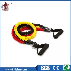Pull Rope Latex Resistance Bands Manufacturer Supplier Wholesale Exporter Importer Buyer Trader Retailer in Rizhao  China