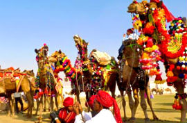 Pushkar Fair Services in Jaipur Rajasthan India