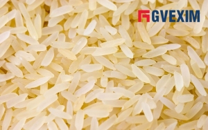 Manufacturers Exporters and Wholesale Suppliers of RICE Junagadh Gujarat