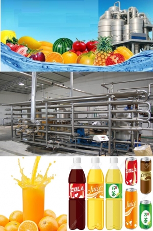 Mango Juice Processing Machinery