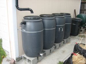 Rain Water Harvesting Consultants