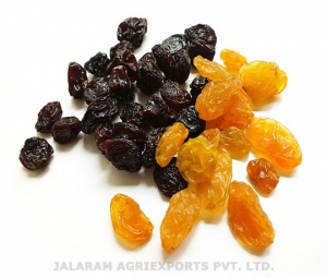 Raisins Manufacturer Supplier Wholesale Exporter Importer Buyer Trader Retailer in Ahmedabad Gujarat India