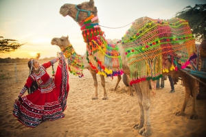 Service Provider of Rajasthan Tour Package New Delhi Delhi 