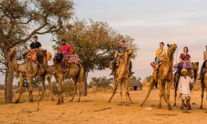 Service Provider of Rajasthan Tour New Delhi Delhi 