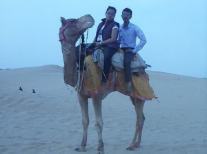 Service Provider of Rajasthan Tour Tilak Nagar Delhi 