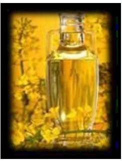 Rapeseed Oil