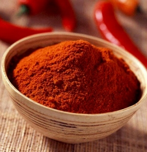 Manufacturers Exporters and Wholesale Suppliers of Red Chili Powder Gandhinagar Gujarat