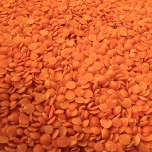 Manufacturers Exporters and Wholesale Suppliers of Red Gram Telangana Andhra Pradesh