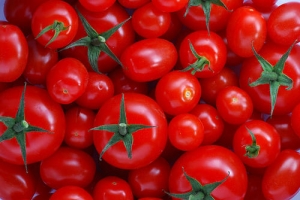 Manufacturers Exporters and Wholesale Suppliers of Red Tomato Nagpur Maharashtra