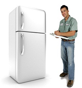 Service Provider of Refrigerator Repairing Services Gurgaon Haryana 