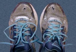 Service Provider of Repairing or Replacing Sports Shoes Net/Mesh New Delhi Delhi 