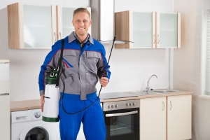 Residential Pest Control Services