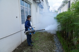 Residential Pest Control Services Services in Mapusa Goa India