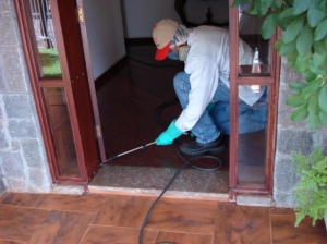 Service Provider of Residential Post Construction Anti Termite Treatment Mapusa Goa