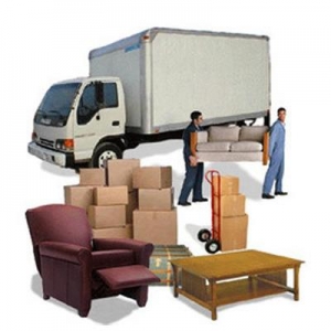 Service Provider of Residential Shifting Udaipur Rajasthan 