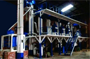Rice Plant Manufacturer Supplier Wholesale Exporter Importer Buyer Trader Retailer in Patiala Punjab India