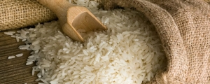 Rice Manufacturer Supplier Wholesale Exporter Importer Buyer Trader Retailer in Telangana Andhra Pradesh India