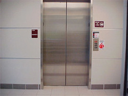 Rolex Elevator