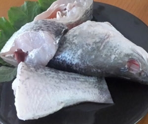 Manufacturers Exporters and Wholesale Suppliers of Row Fish New Delhi Delhi